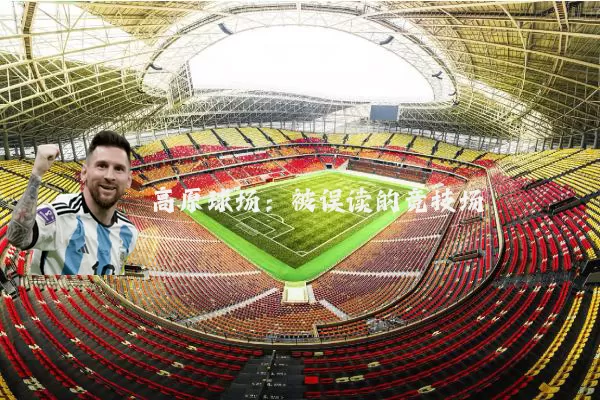 高原球场：被误读的竞技场